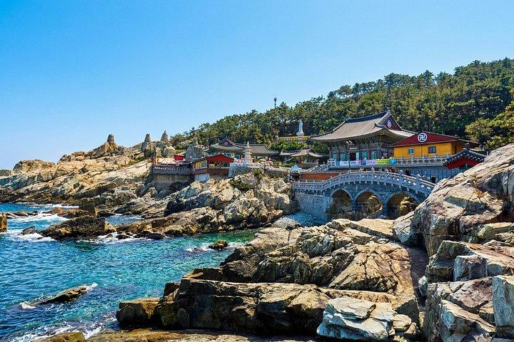 Excursion en bord de mer de Busan partagée ou privée avec capsule Sky garantie