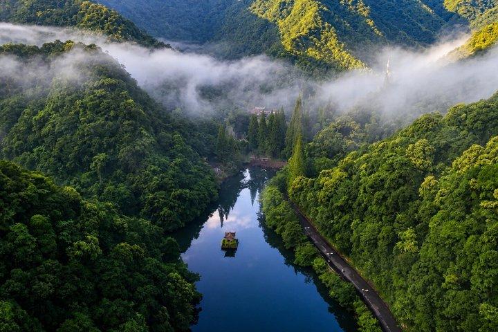 寧海自然逃避行：上海から茶畑と温泉へ