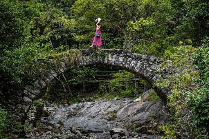 寧海自然逃避行：上海から茶畑と温泉へ