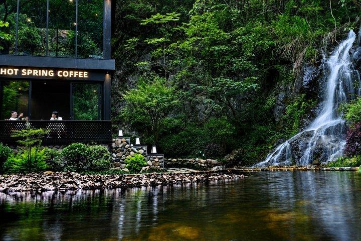 寧海自然逃避行：上海から茶畑と温泉へ
