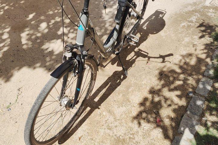 マラガ自転車レンタル