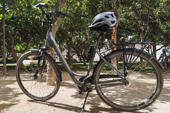マラガ自転車レンタル