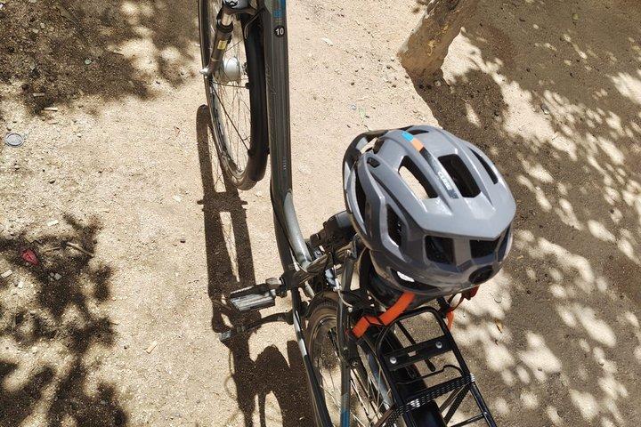 マラガ自転車レンタル