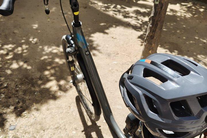 マラガ自転車レンタル
