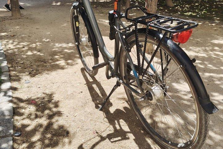 マラガ自転車レンタル