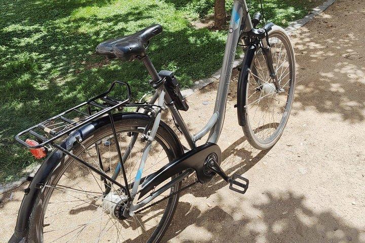 マラガ自転車レンタル