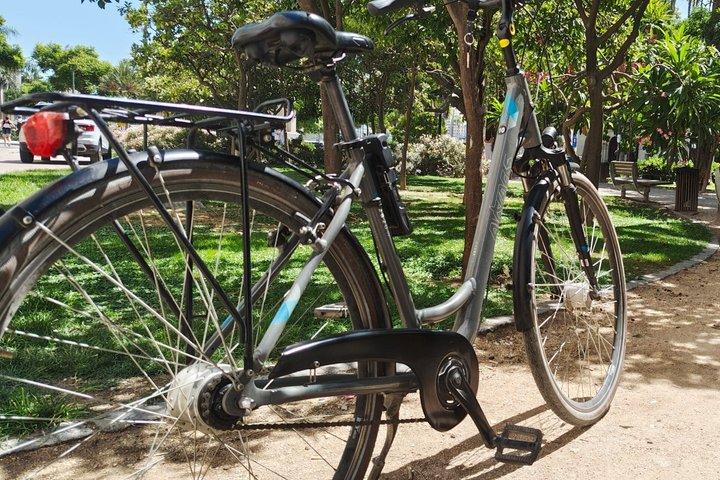 マラガ自転車レンタル