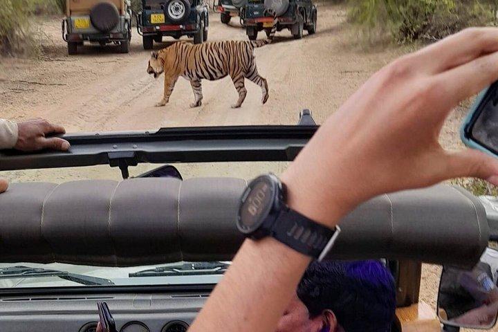 Tour de 7 días al Triángulo Dorado con Ranthambore Tiger Safari
