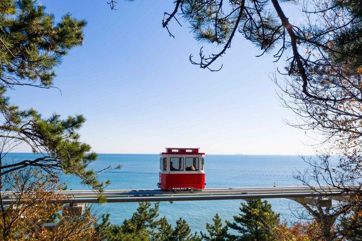 Excursion en petit groupe à Busan avec Sky Capsule