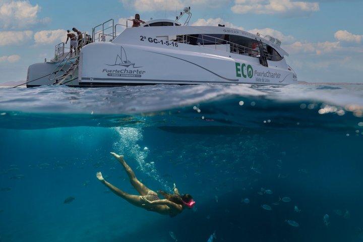 ECO Ferry minikryssning till Isla de Lobos
