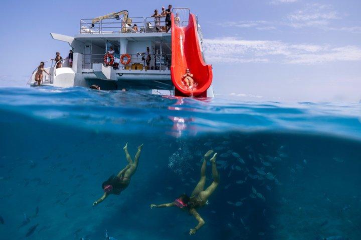 ECO Ferry minikryssning till Isla de Lobos