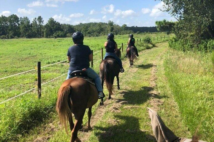 ルイーザ湖の景色の良いトレイルでの2時間の乗馬トレイルライド