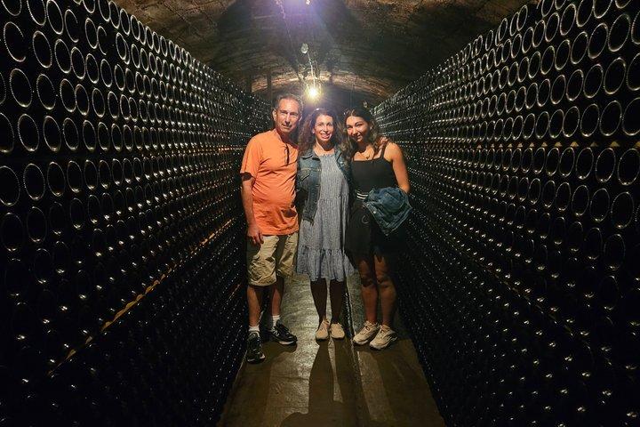 Privat vinprovning Tour nära Barcelona Halvdag