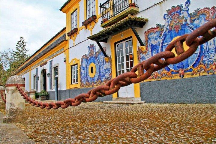 Visite des vignobles Azeitao avec déjeuner Dégustation Portugal Le meilleur