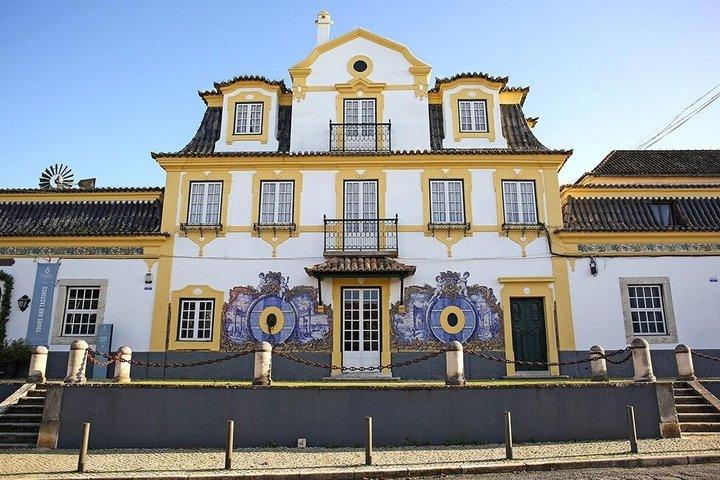ランチ付きアゼイタオワインツアー ポルトガルの最高級の味を堪能