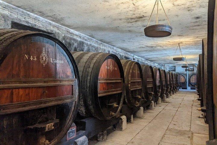 ランチ付きアゼイタオワインツアー ポルトガルの最高級の味を堪能