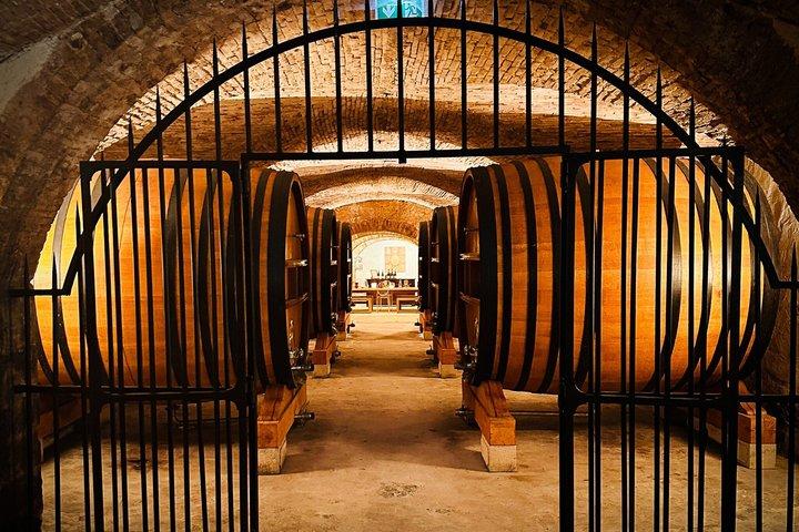Private Experience - Two Days to Discover the Rhône Valley Wines