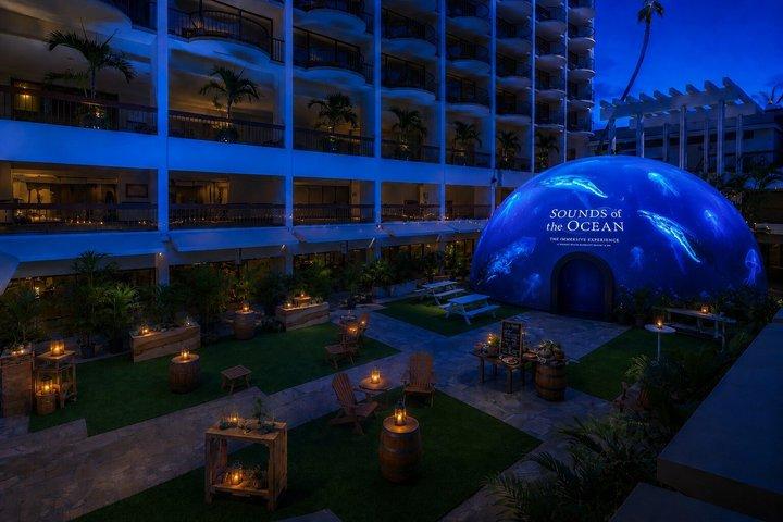 Sounds of the Ocean The Immersive Experience Waikiki