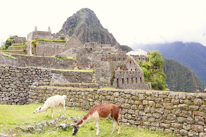 Offizielle Eintrittskarte Machu Picchu