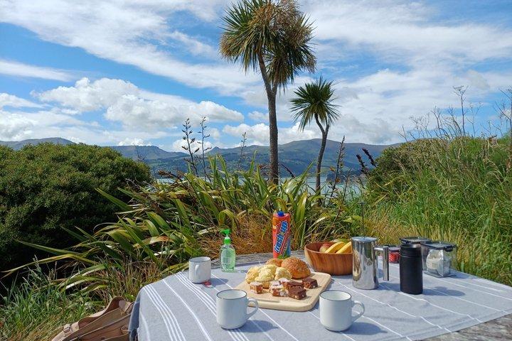 Lyttelton Shore Ex : 3.5時間ガイド付きシーニックハイキング。 輸送&食品