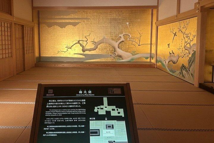 Nagoya-Schloss-Tour: Entdecken Sie Geschichte und Kultur mit einem Ortskundigen Reiseleiter