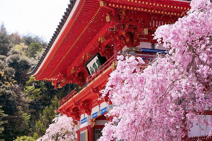 勝王子寺・三田アウトレット・有馬温泉日帰りバスツアー