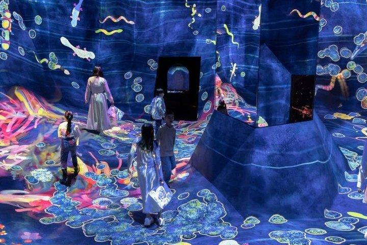 Tokyo TeamLab Planets Admission Ticket