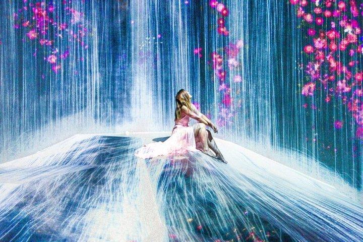 Tokyo TeamLab Planets Admission Ticket