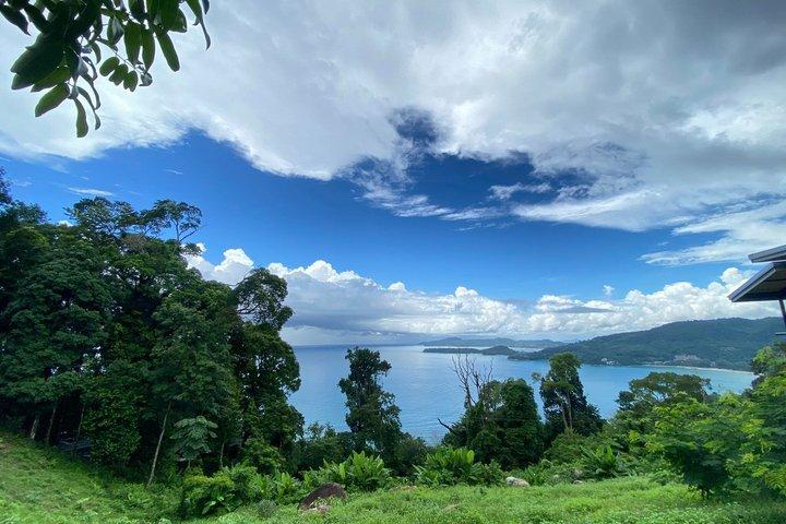 Phuket Zipline Jungle Canopy Experience with Treetop Views