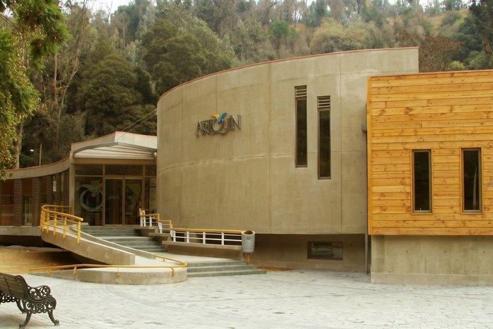 Santiago till Artequin Museum Vina del Mar privat tur med bil