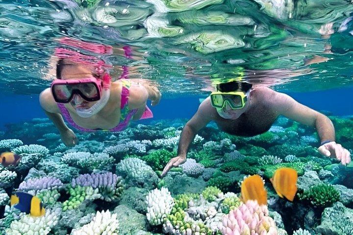ザンジバルブルーラグーンシュノーケリングスターフィッシュサンドバンク＆マググローブ
