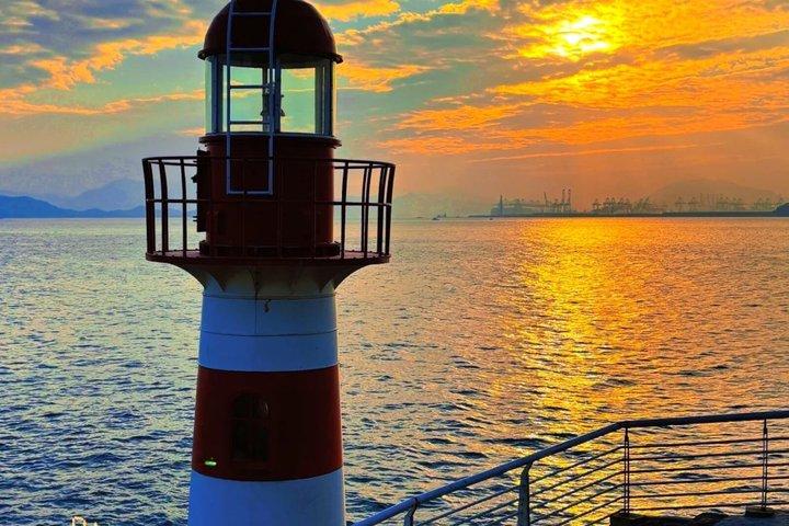 深圳 戴梅沙海岸公園プライベートカーツアー
