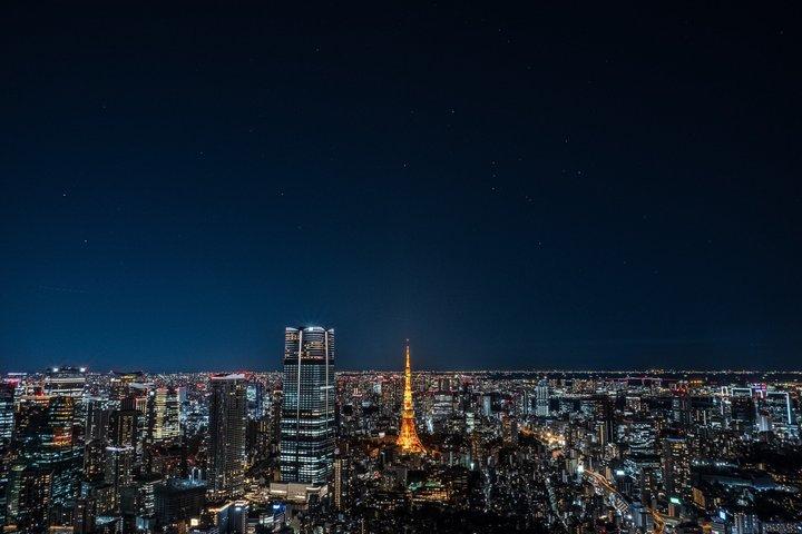 東京シティビュー入場券&東京メトロ24時間券