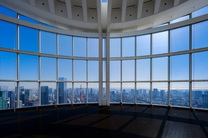 東京シティビュー入場券&東京メトロ24時間券