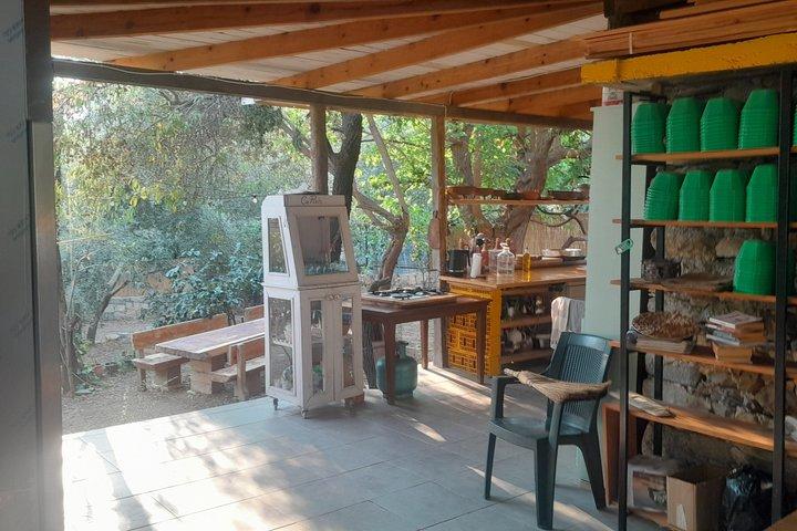 Artisan Baking and Turkish Breakfast in Muğla