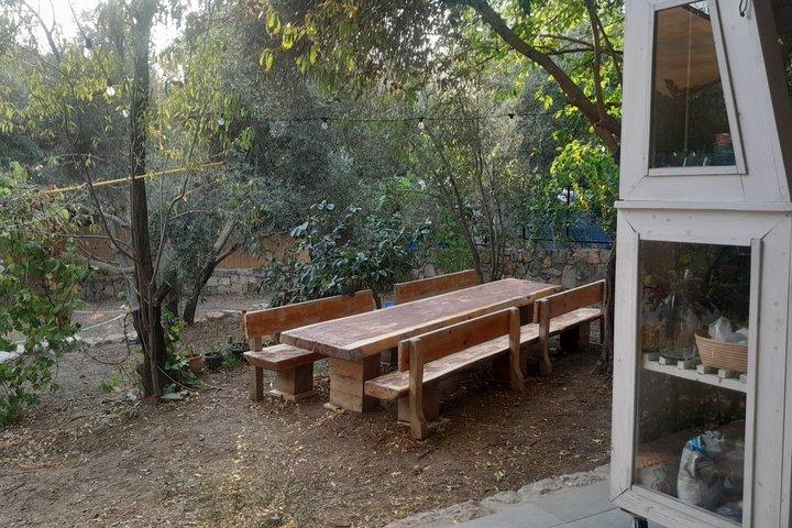Artisan Baking and Turkish Breakfast in Muğla
