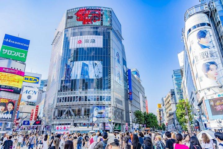 Visite Privée de Tokyo : Temples, Culture & Modernité.