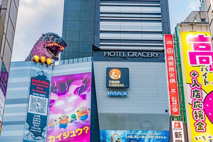 Visite Privée de Tokyo : Temples, Culture & Modernité.