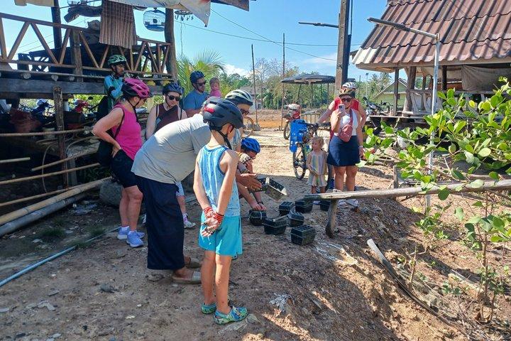 Half day Koh Klang culture cycling