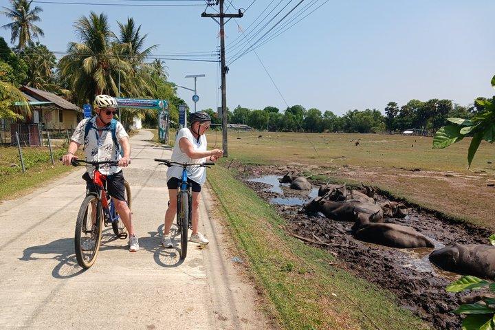 Half day Koh Klang culture cycling