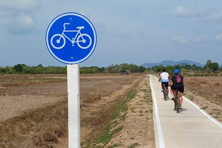 Half day Koh Klang culture cycling