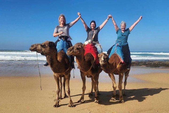 Authentic Private Tangier Tour