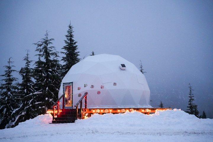 Julsläde-tur!