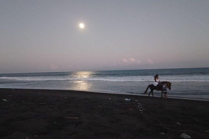 Billeder af Bali Horse Riding + Drone