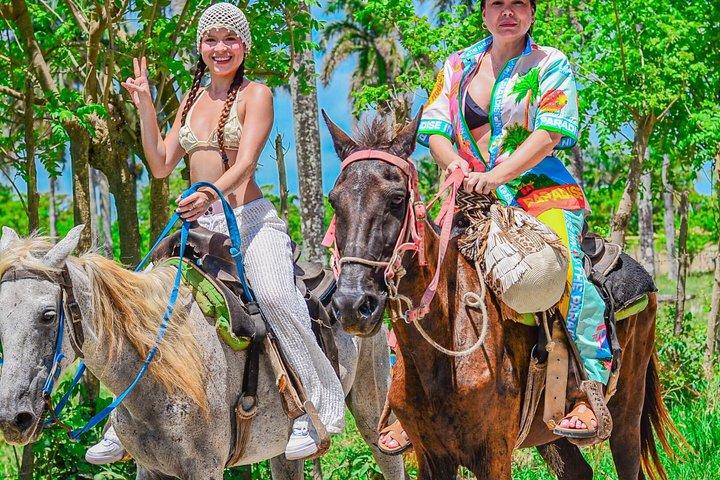 Reiten in Macau und Punta Cana