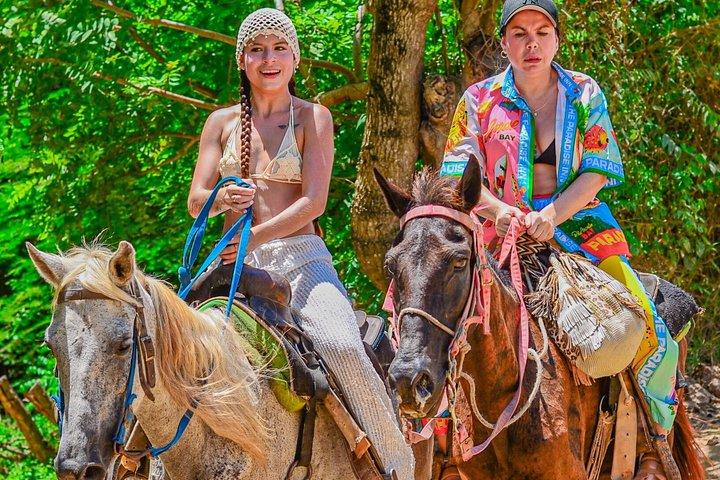 Reiten in Macau und Punta Cana