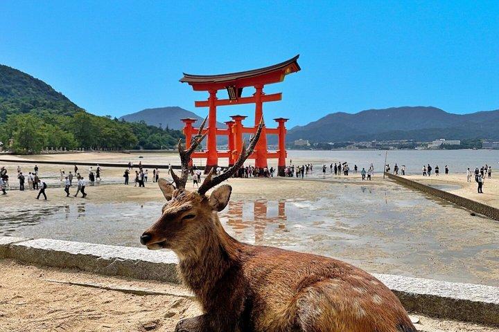 Private Hiroshima Miyajima and Shukkeien Garden Tour
