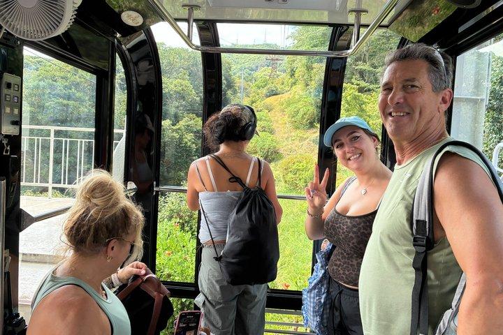 Explore Nagasaki History by Private vehicle with Licensed Guide