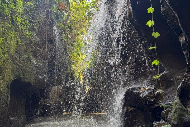 Bali Ubud Buggy Adventure Crocodile Cave, Jungle, RiceFields, Mud
