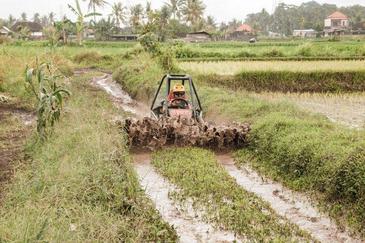 Bali Ubud Buggy Adventure Crocodile Cave, Jungle, RiceFields, Mud